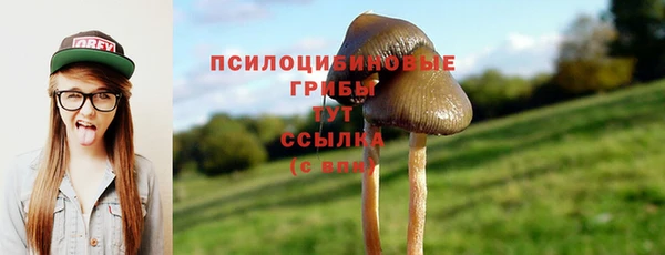 мдпв Бронницы