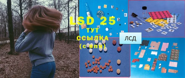 дживик Туринск
