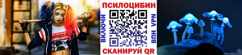 Псилоцибиновые грибы Psilocybine cubensis  blacksprut tor  shop официальный сайт  Зея 